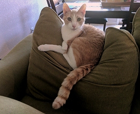 Slide 1-4